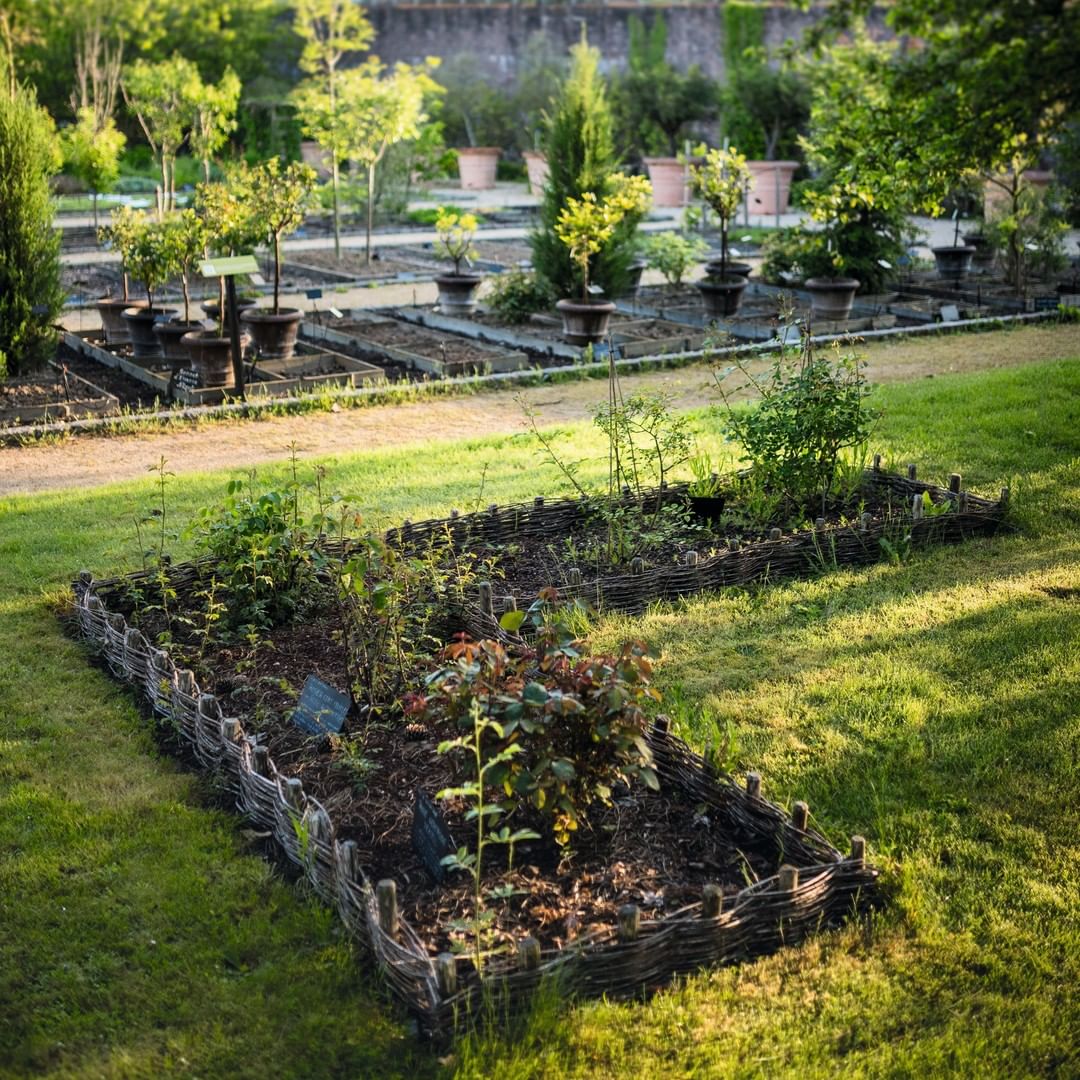 Yves Rocher France - Imaginé en 1975 par Monsieur Yves Rocher, le Jardin Botanique Yves Rocher est aujourd'hui un sanctuaire du monde végétal. Avec plus de 1500 espèces végétales préservés, le Jardin...
