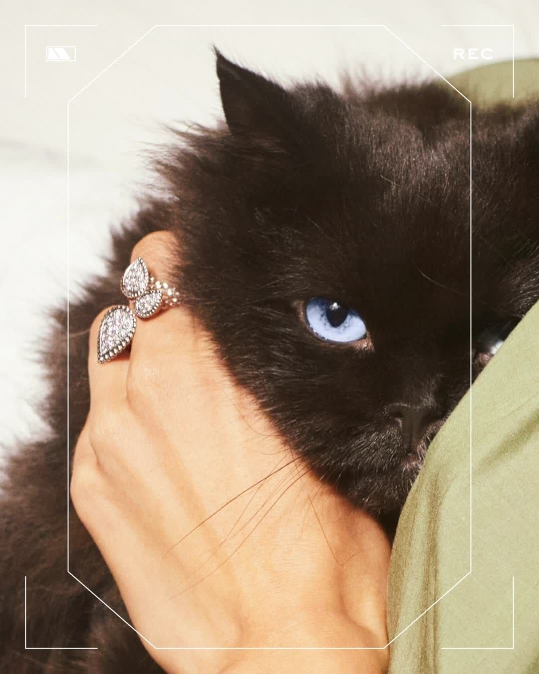 Boucheron - #Spotted: Wladimir getting cozy with the new Serpent Bohème 3 drops ring⁣
#SerpentBoheme