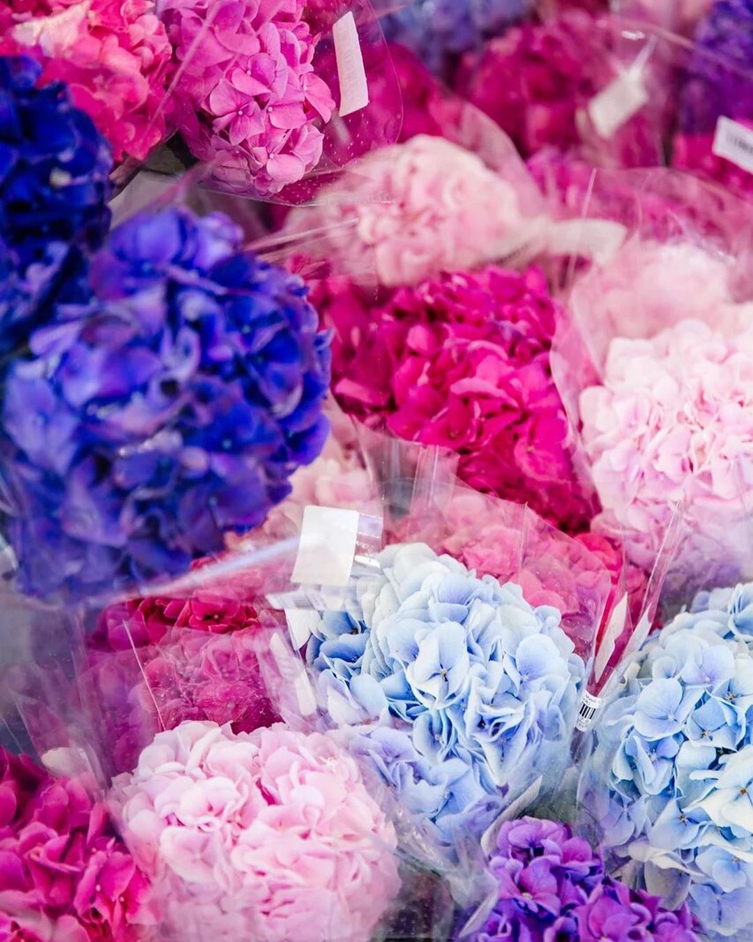 Гипермаркет цветов - Огромный выбор цветов , самые свежие поставки , на любой вкус и ценник 🙌🏼 

💕Весь мир в одном букете!
⠀
📍Запомните единственные необходимые контакты для заказа цветов:
⠀
📮direct:...