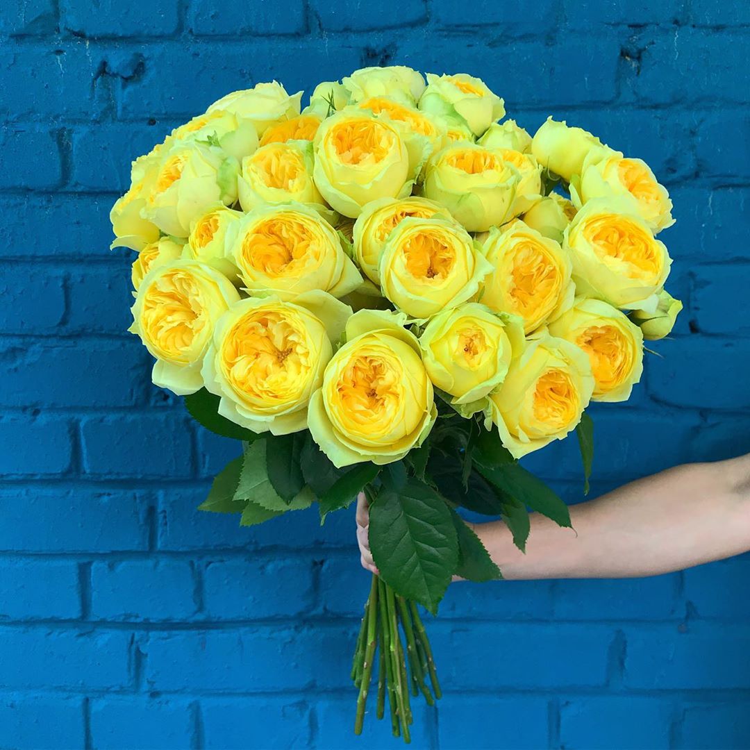 FloraExpress • Доставка цветов - Прекрасные кустовые пионовидные розы Каталина Экстра 🤤😍
-
Огромный букет из 15 кустовых роз - 3300 руб.
Доставка 👌руб.

Всем приятного вечера.