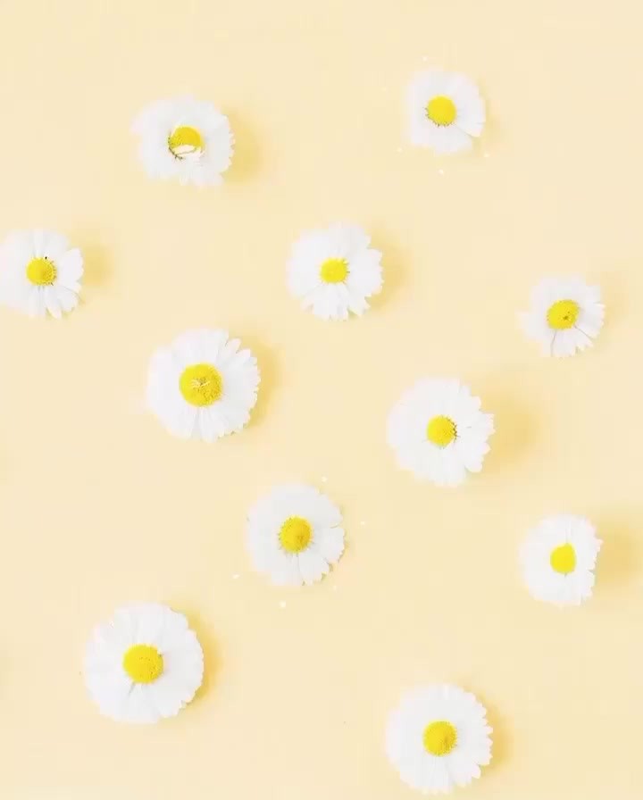 Naturé Moi - Notre camomille BIO vient du Maine et Loire ! 🌼 Elle est présente dans notre gamme capillaire Reflets dorés pour ses propriétés éclaircissantes. 💛 Mais pas que !
Connaissez-vous notre cr... Naturé Moi - Notre camomille BIO vient du Maine et Loire ! 🌼 Elle est présente dans notre gamme capillaire Reflets dorés pour ses propriétés éclaircissantes. 💛 Mais pas que !
Connaissez-vous notre cr...