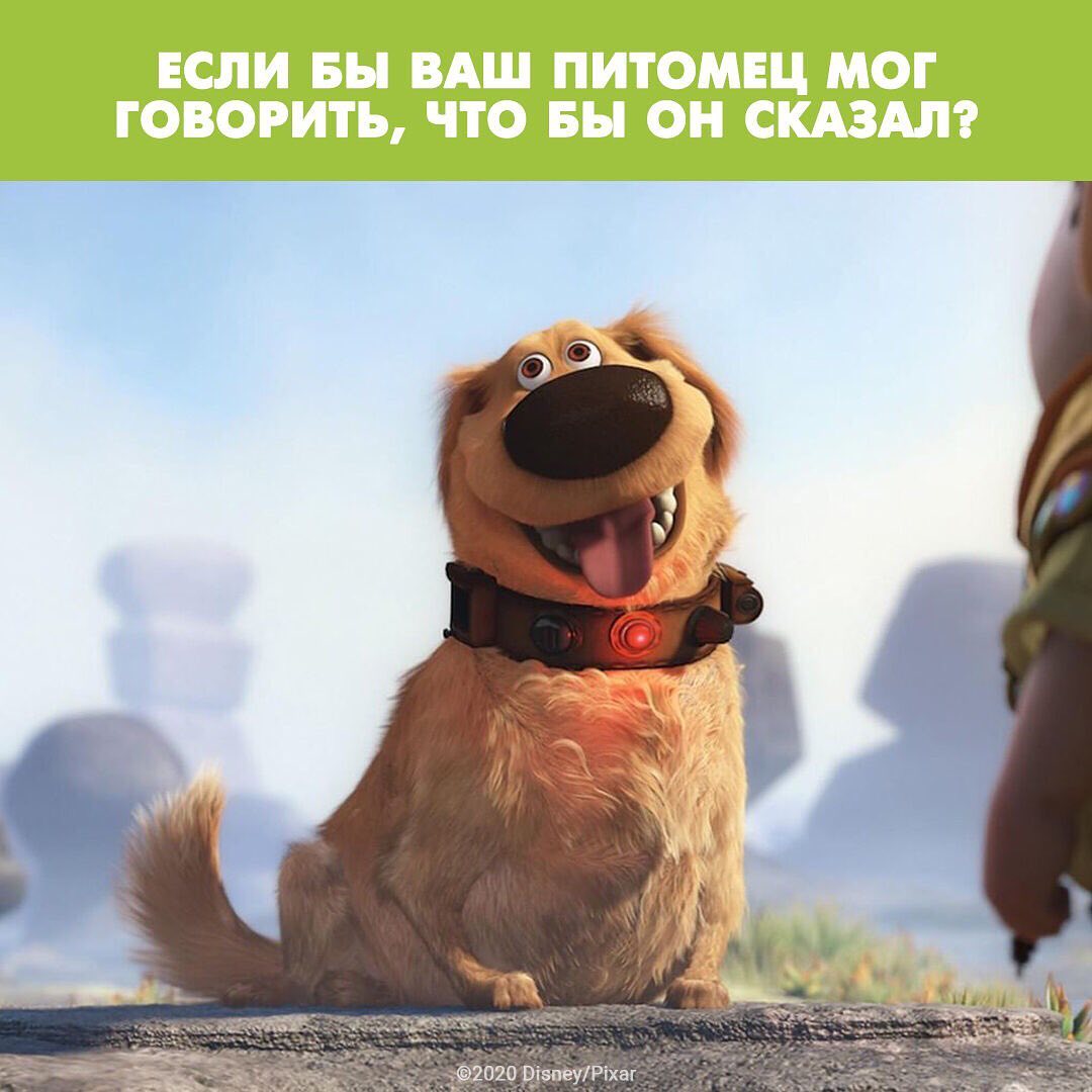 Disney Россия - Пишите ваши версии в комментариях 👇
#Вверх