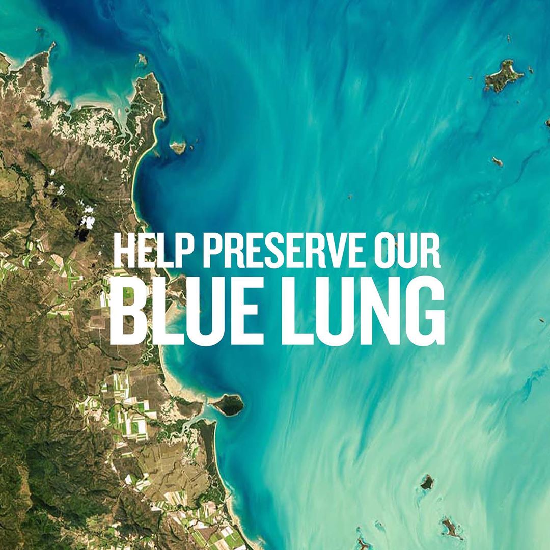 BIOTHERM - This Summer, you can help preserve our Blue Lung with the Water Lovers Program! 🌊

#Biotherm #BeAWaterLover @fondationtaraocean