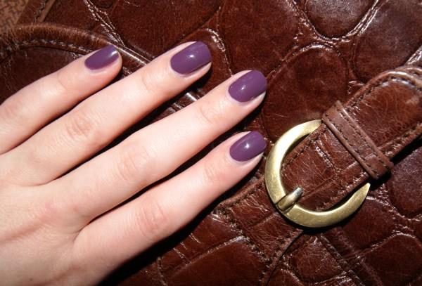 Dior  Vernis №887 Purple mix