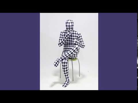 Morph Suit Split Color Plaid Lycra Spandex Zentai Suit Unisex Full Body Suit