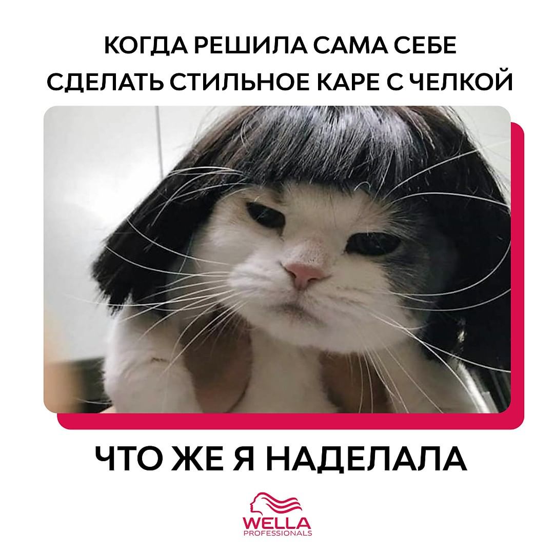 Wella Professionals Russia - Признавайтесь, кто сталкивался с последствиями таких решений?