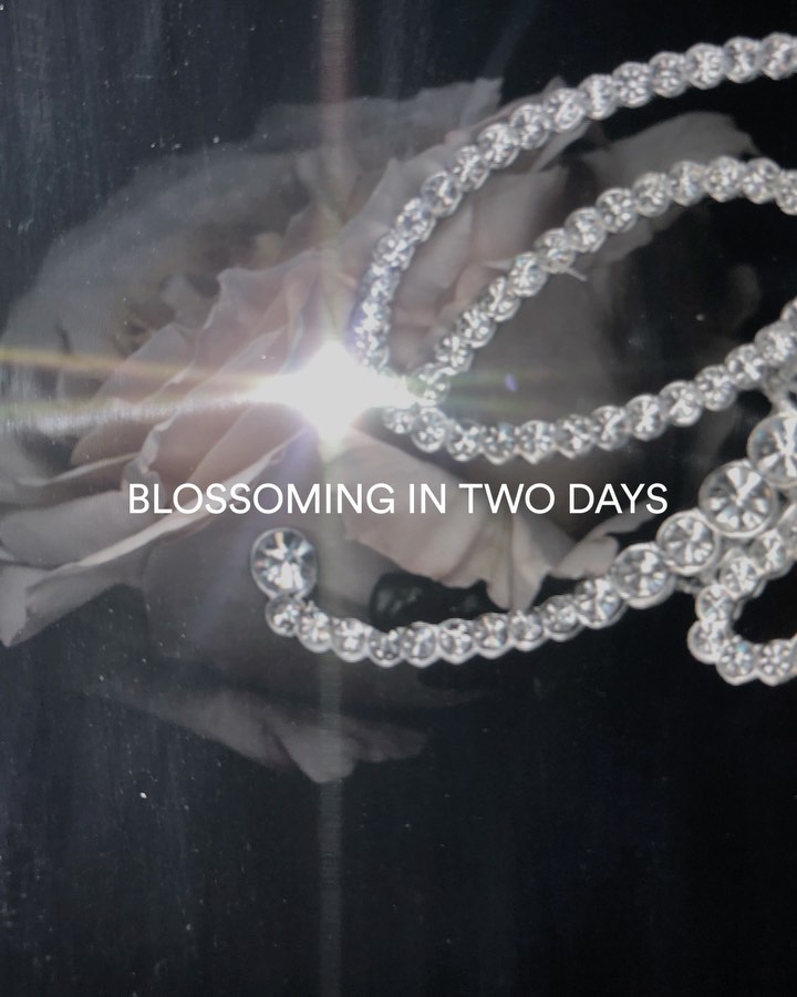 Blumarine - Blossoming in two days.
#Blumarine, #BlumarineTheNewHorizon
