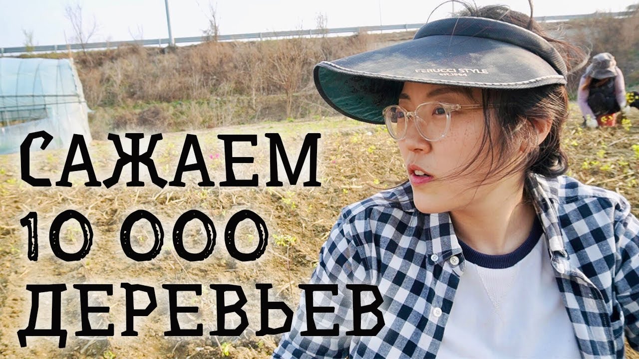 ДВА ДНЯ и 10 000 ДЕРЕВЬЕВ... Засаживаю мой участок земли в Южной Корее!