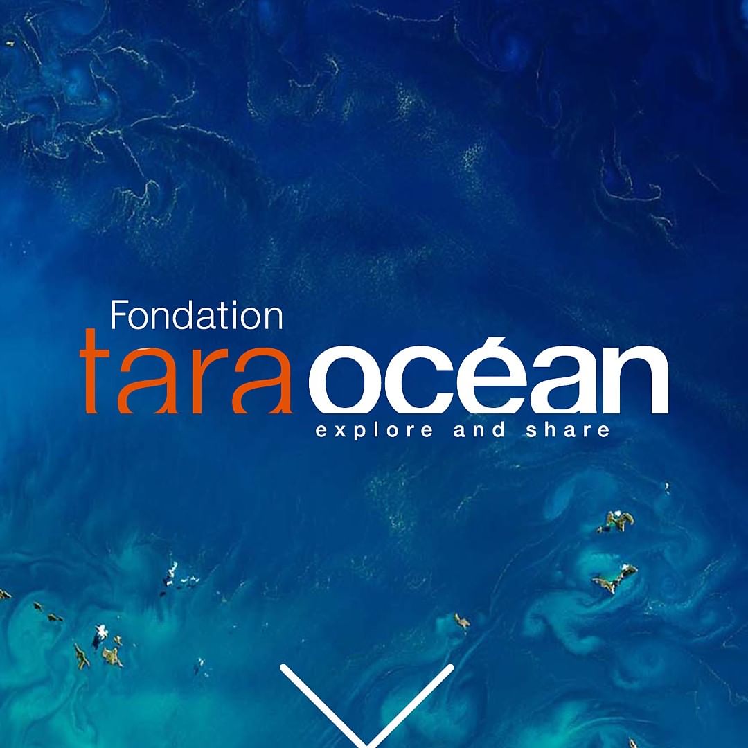 BIOTHERM - Because we come from water, we are committed to respecting our Blue Lung, the Ocean. 
By partnering with NGO partners, like @FondationTaraOcean, we have been to able raise awareness on wate...