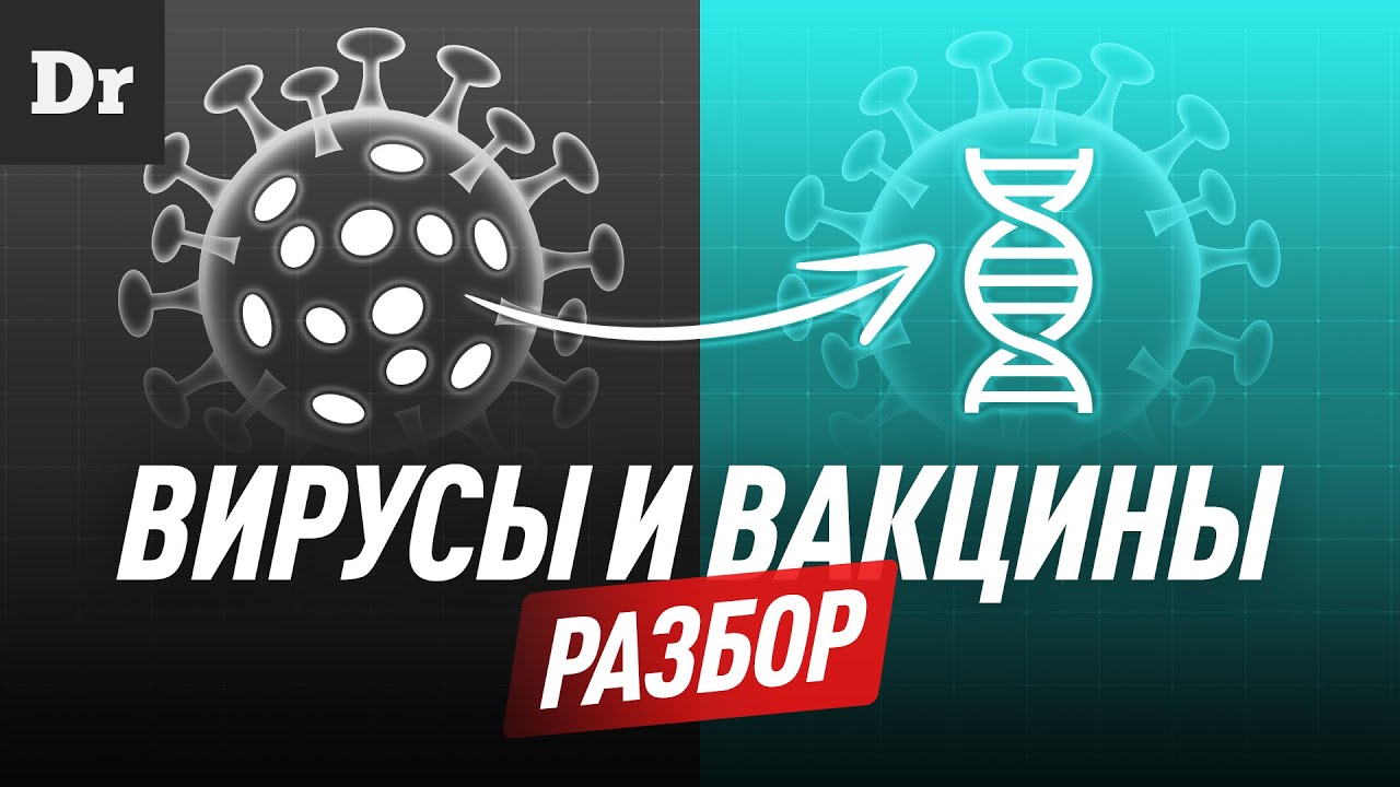 Вирусы и вакцины | РАЗБОР