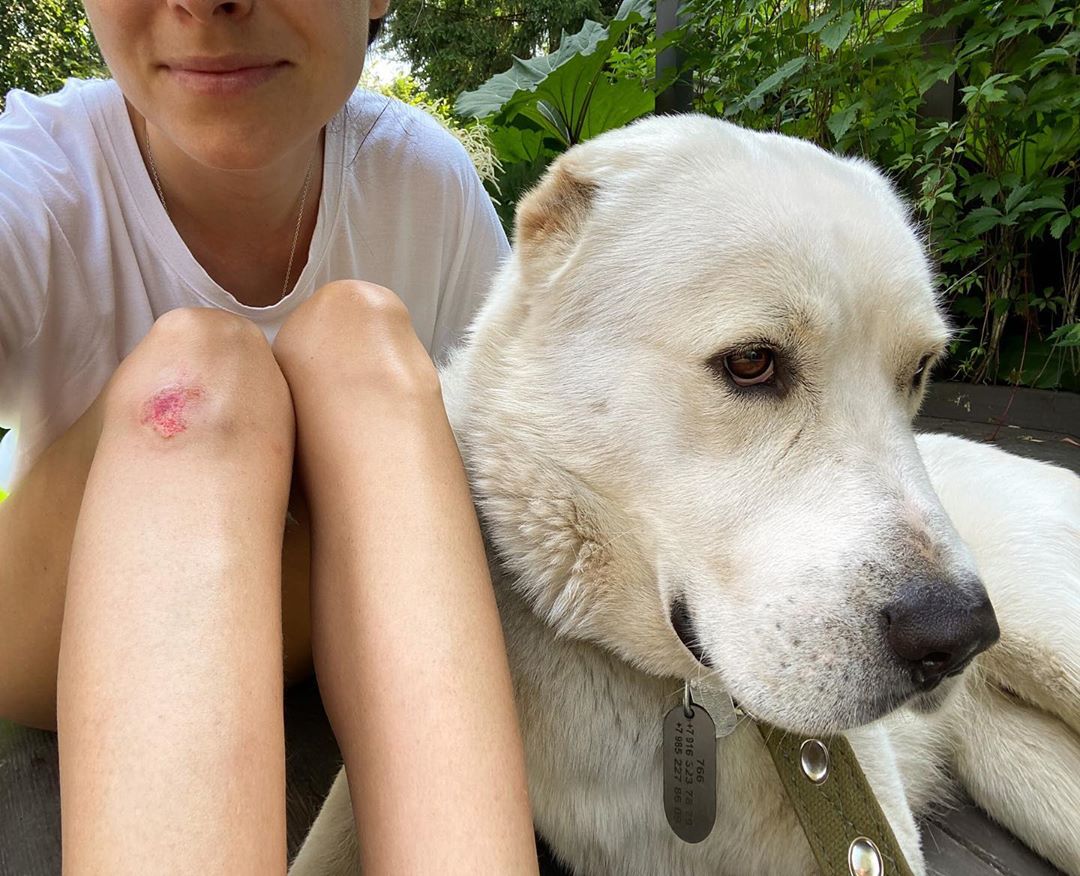 Ирена Понарошку - Да, это он. Пост про собаку!
⠀
Добавлю ложку дёгтя в бочку Волка. Эти фото были сделаны в первое утро после того, как мы забрали наш сладкий пломбирчик из приюта. После самой первой... Ирена Понарошку - Да, это он. Пост про собаку!
⠀
Добавлю ложку дёгтя в бочку Волка. Эти фото были сделаны в первое утро после того, как мы забрали наш сладкий пломбирчик из приюта. После самой первой...