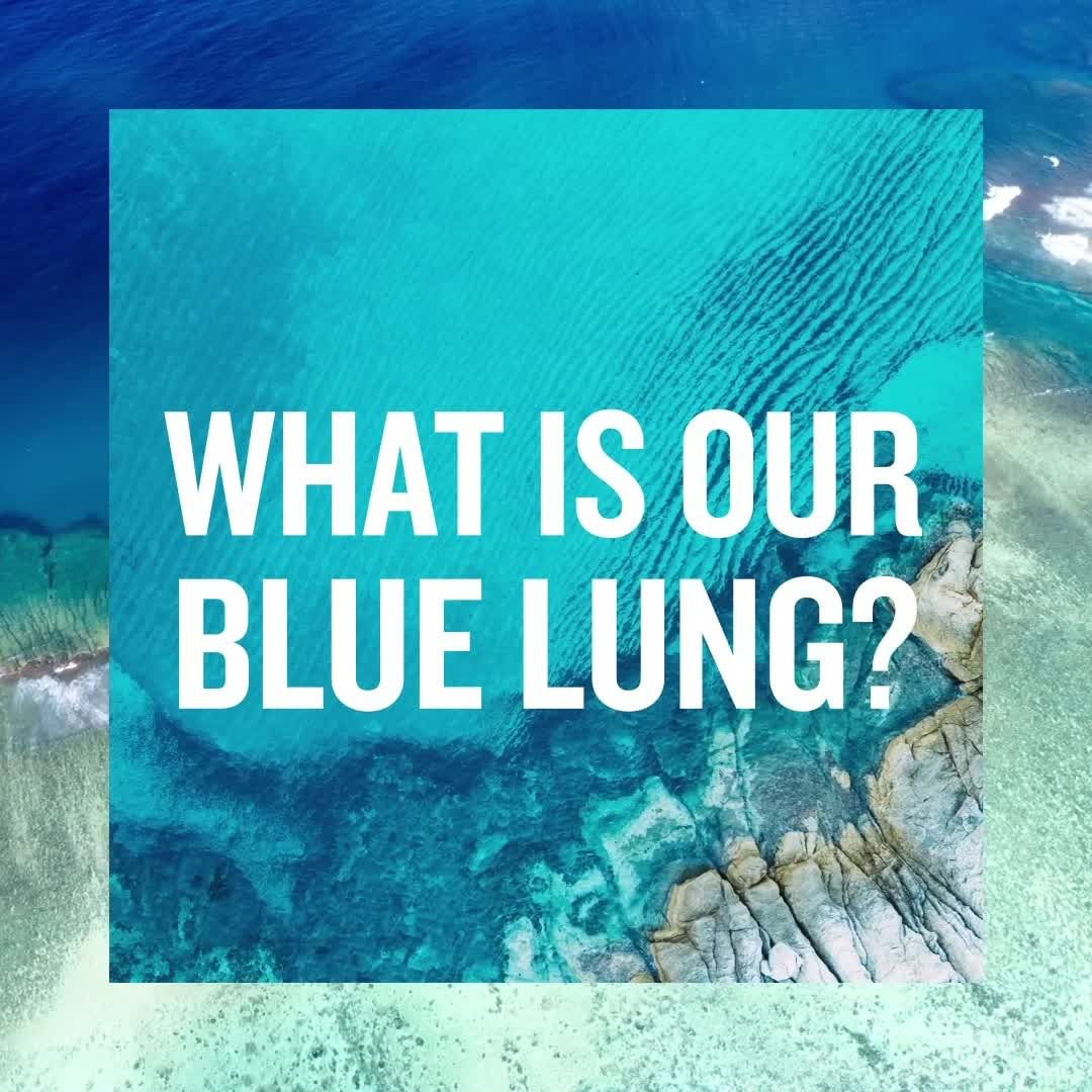 BIOTHERM - Our blue lung, phytoplankton, is essential to all life on our planet! 

Our health of our oceans is directly tied to the health of this essential organism. 

Honor our Blue Lung today and e...