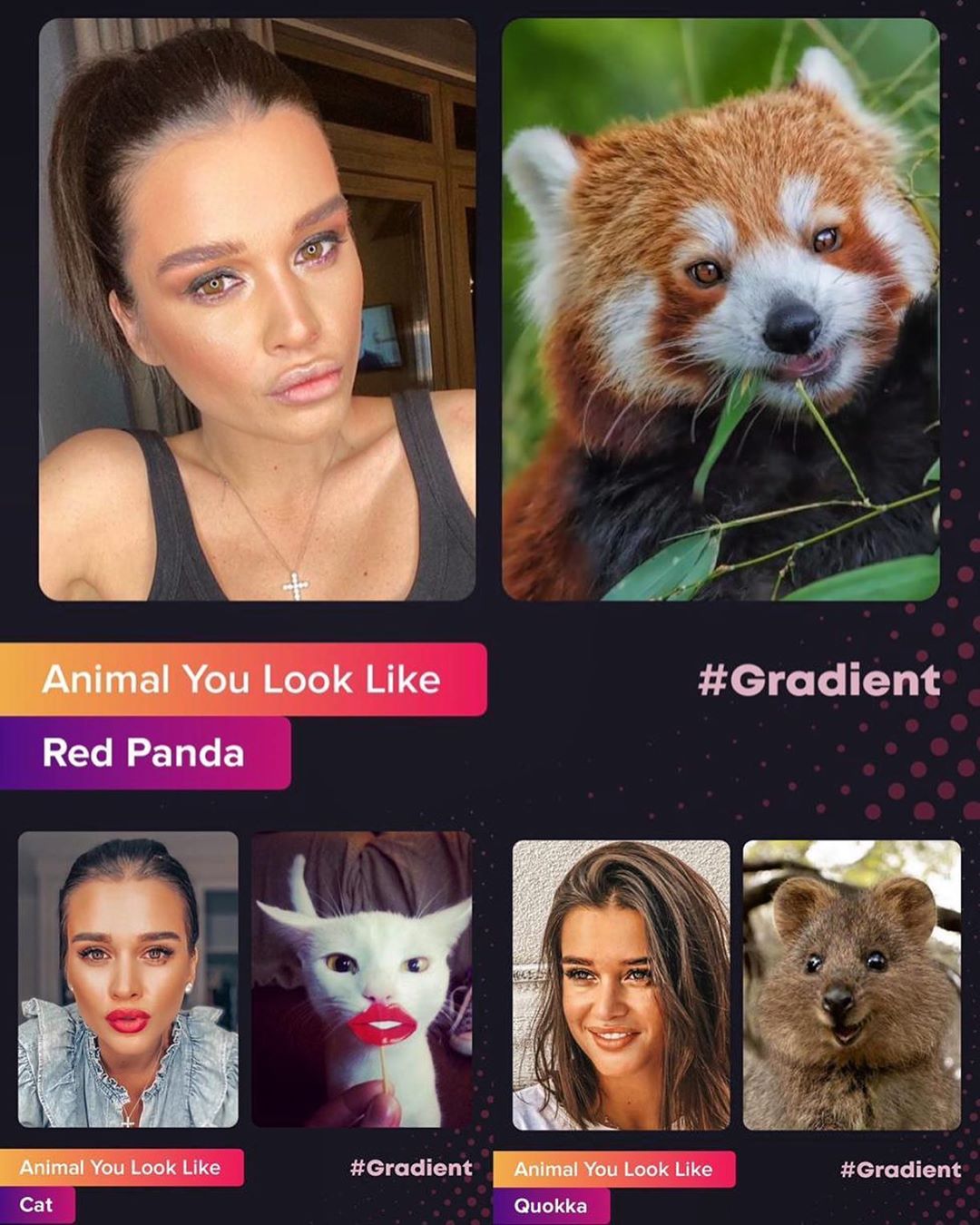 borodylia - А вы уже попробовали приложение #Gradient? 
Результаты конечно неожиданные 😂 🤣
Я похожа на панду, кота и кенгуренка)) напишите что у вас получается?