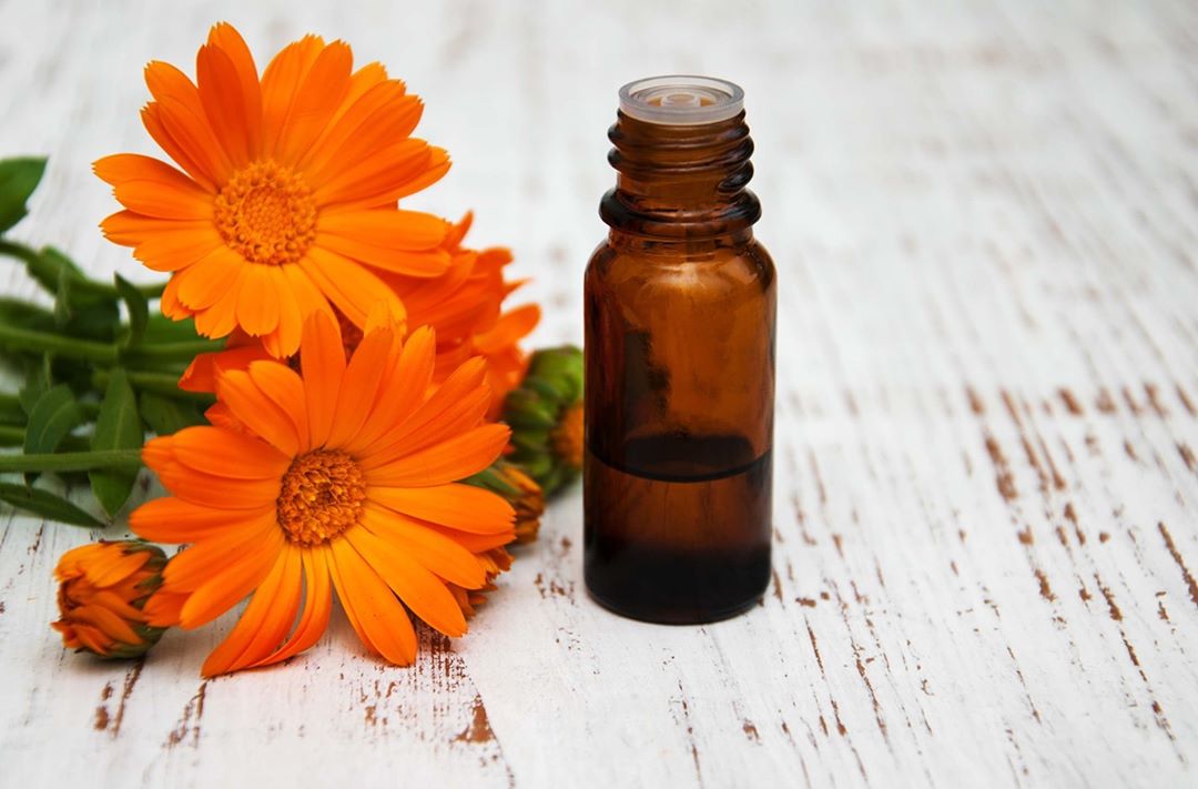 Delarom Paris - Focus actif 

L’extrait de calendula
Le Calendula, du fait de ses incroyables propriétés, est conseillé pour traiter plusieurs problèmes de peaux :

Pour ses propriétés adoucissantes e...