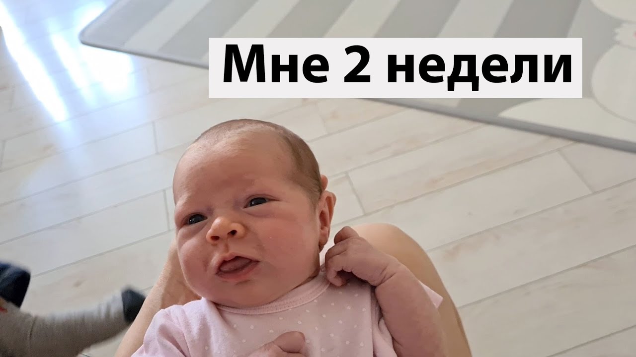 VLOG: Марта подросла