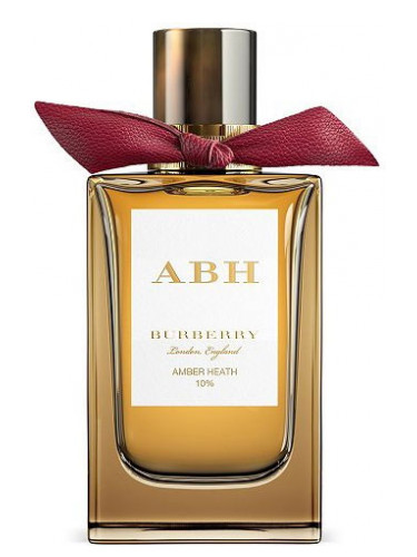 Amber Heath BURBERRY - отзыв