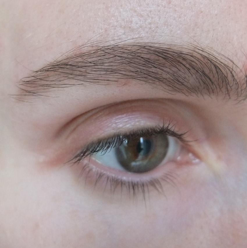 Одни из лучших теней для бровей - Catrice Eyebrow Set8 aad241_lbox.jpg