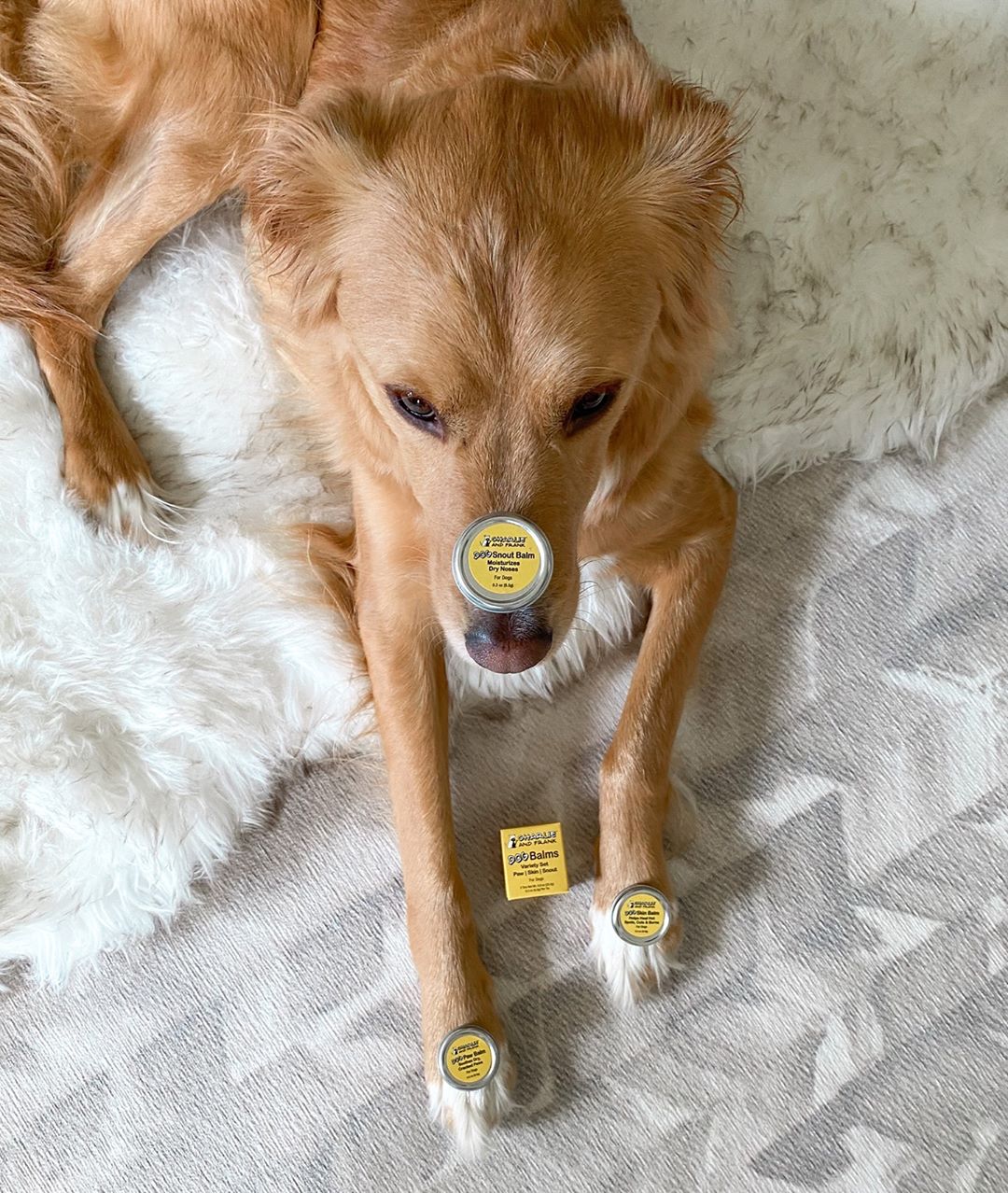 iHerb - Harbor of @puppies.n.pinot is all about balance (literally) and when it comes to a skincare routine.

With Charlie and Frank's Dog Variety Balm Set, nose, paws and everywhere in between is kep...