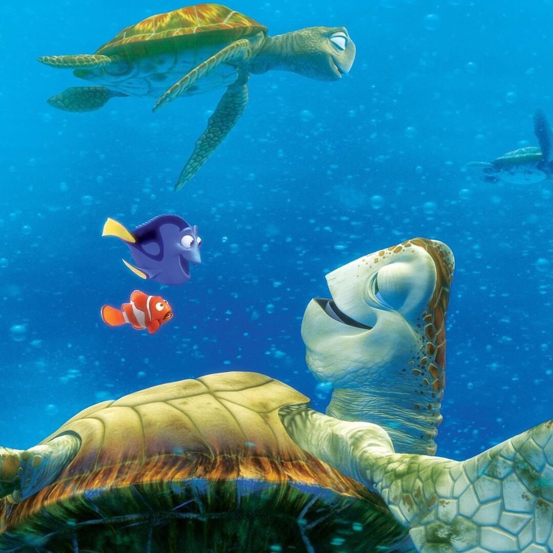 Disney Россия - Иногда стоит расслабиться и просто плыть по течению 🌊
#ВпоискахНемо