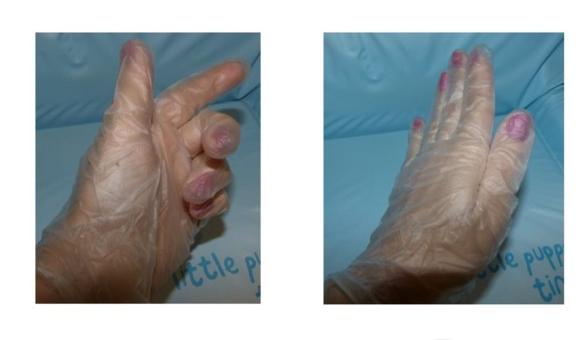 Виниловые перчатки Paclan одноразовые 50 шт/упаковке фото