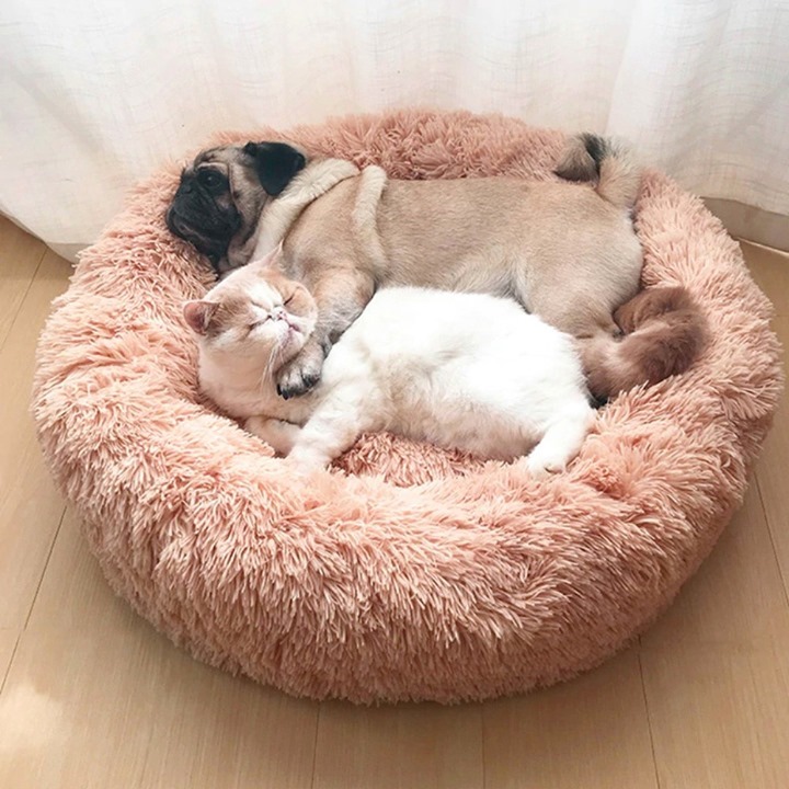 AliExpress - Tuesday mornings got us feeling like…

Keep your cuddly cat and dozey dog happy with these plush beds: https://s.click.aliexpress.com/e/_d8BKJqD?af=4000513077073