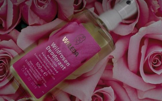 Дезодорант Weleda Wild Rose Natural фото