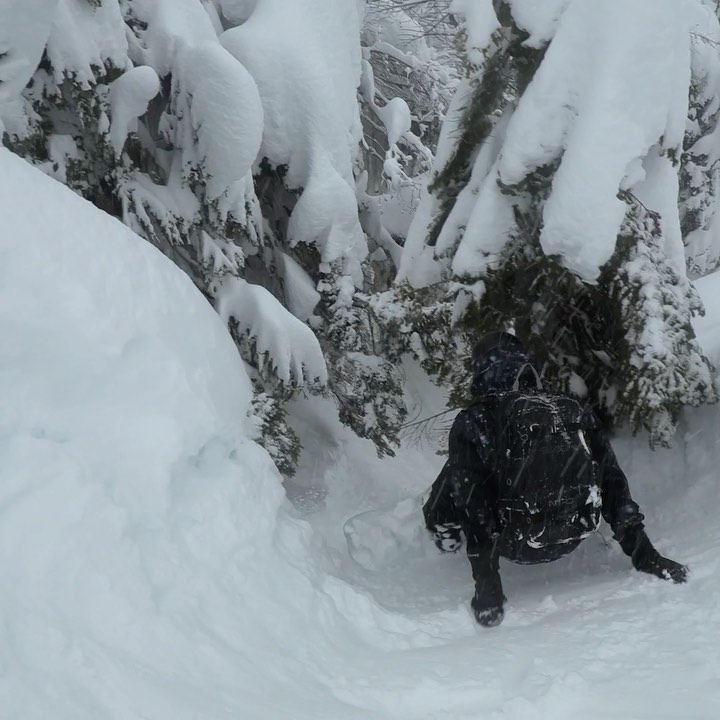 Quiksilver - This is the authentic Mt. Baker experience. @gsiebs and the joy of the side country. Hit the link in our bio to watch Fully Baked and see where @austensweetin took him.