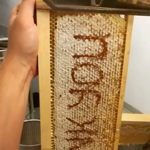 Perlier USA - Fresh honey makes us happy 🍯 !

#repost @sk_beekeeping 
#honey #honeycomb #giftfromnature #honeybees #savethebees #beekeeping #thankyoubeekeepers