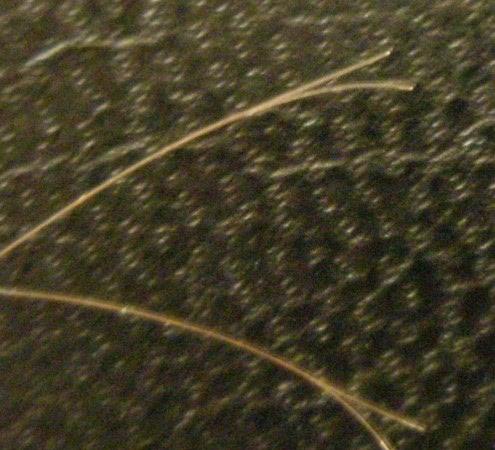 На страже здоровья волос (L'Oreal Professionnel Absolut Repair Serum)