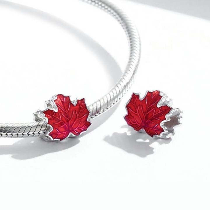 AliExpress - What signifies the changing seasons for you? 🍁

Get ready for fall with these Sterling Silver charms in a range of autumnal styles.

Get 45% off here: https://s.click.aliexpress.com/e/_d6...