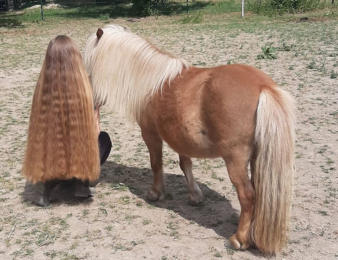 Pantene Pro-V - Is this what they mean when they say every brunette needs a blonde bff? 🐴💛 Repost @my_fascinating_hair