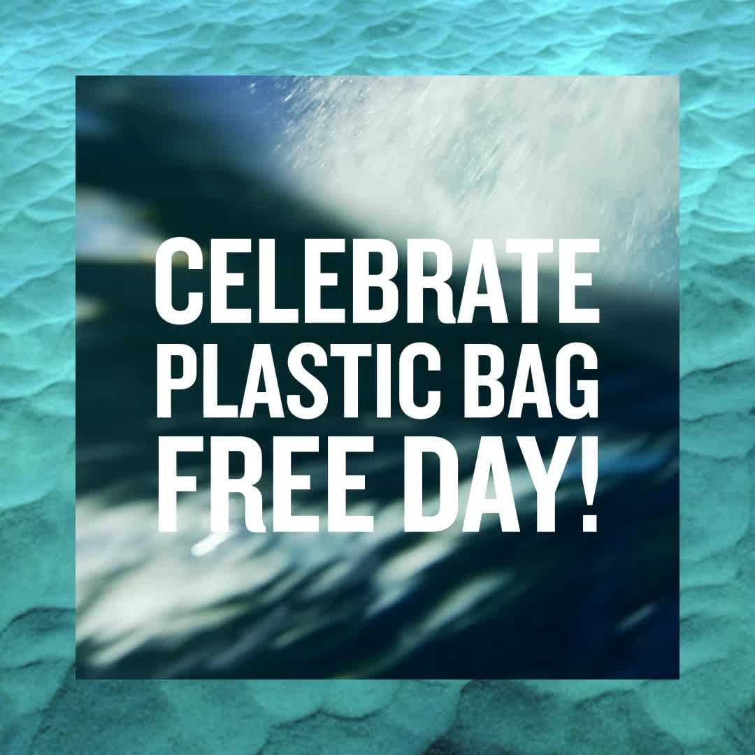 BIOTHERM - Let's celebrate together by saying no to plastic bags! 

#Biotherm #BeAWaterLover #PlasticBagFreeDay