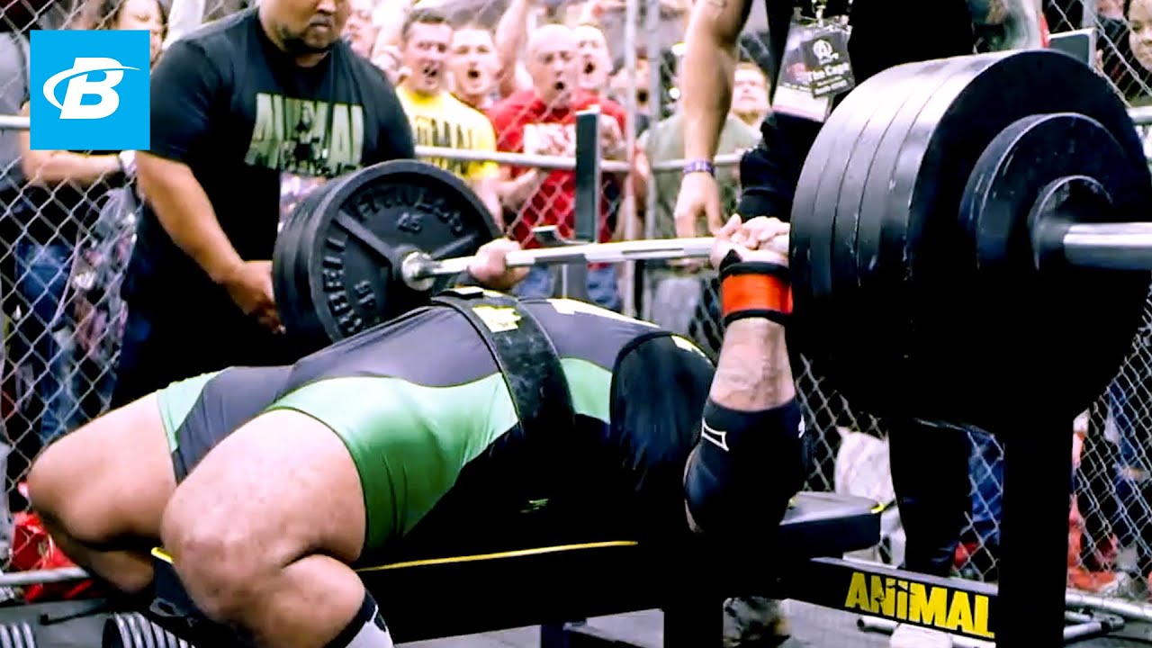 Bench Press Basics | Elite Powerlifter Rob Hall