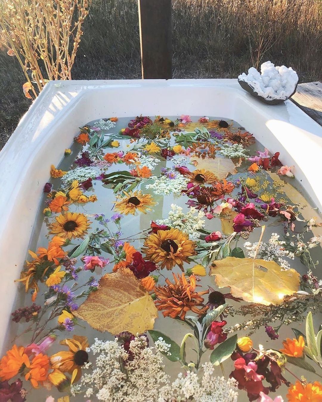 SHEIN.COM - Bath of our dreams! 🌼🌿 @plantfolk  #bathrituals #bathritual #flowerpower #flowerbath #plants