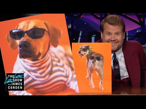 These Dogs In Sunglasses Have Bite