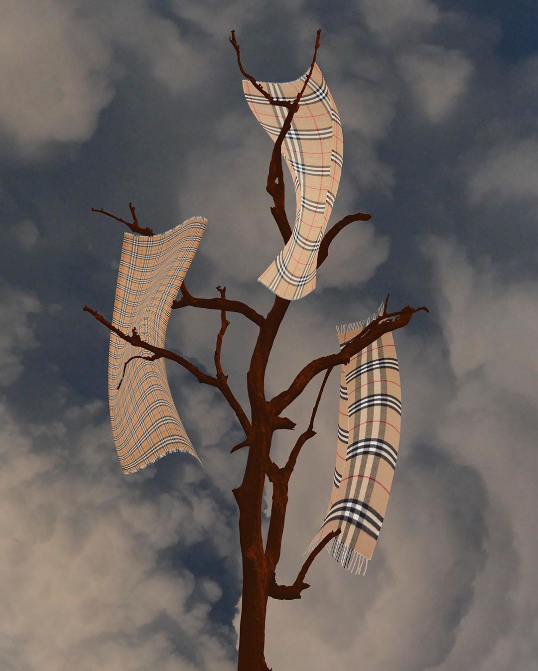 Burberry - ‘Nature has always been our biggest inspiration, we find beauty in it easily’. An ongoing series of collaborations with artists and creators from the #BurberryGeneration community. @synchro...