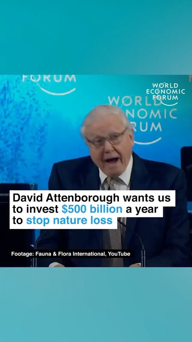 Leonardo DiCaprio - @DavidAttenborough wants us to invest $500 billion a year to protect nature. Costly historical errors have resulted in a hefty price to pay now.

📕 Read more by tapping the link in...