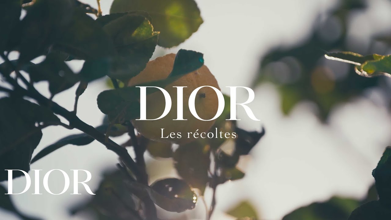 Dior Parfums - Bergamot Harvest: LEGACY