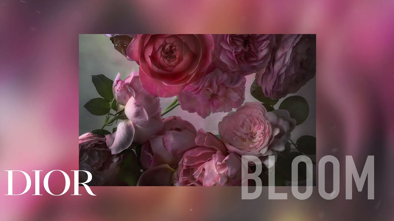 Dior In Bloom, The Symbolism of Flowers: 8 Stories Blossom by Alain Stella