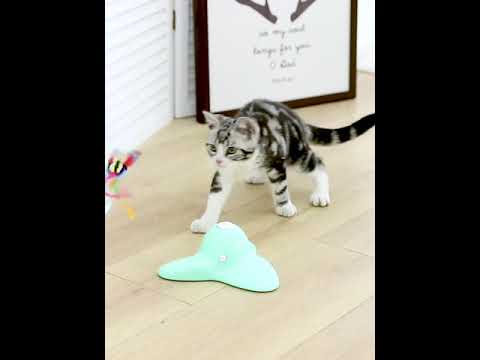 SHEIN | PLAY-PALS FOR LIFE | CAT TOYS