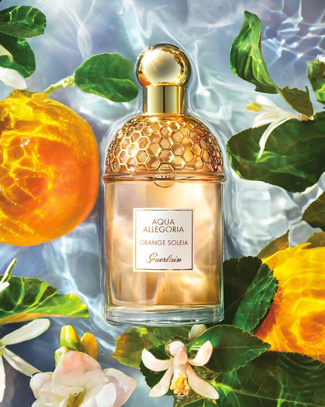 Guerlain - Introducing Orange Soleia, the newest addition to the Aqua Allegoria collection.

Warm orange and fresh mint combine to create a fragrance brimming with energy and brightness, while pink pe...