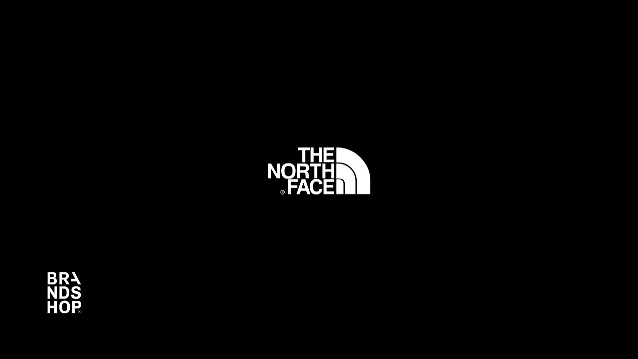 Картинка the north face