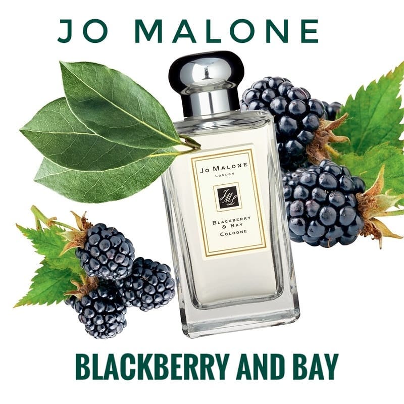 Елена💠Парфюмерный Консультант💠 - ☘️Jo Malone Blackberry & Bay☘️
.
.
🔸Артикул для поиска на сайте(код товара): 3557🔸
.
.
❇️Сегодня хочу начать обзор фирмы Jo Malone с одно из самых популярных ароматов...