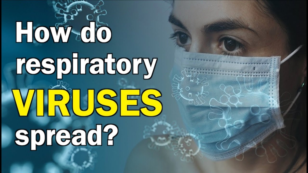 How respiratory viruses spread from surfaces? || 1mg