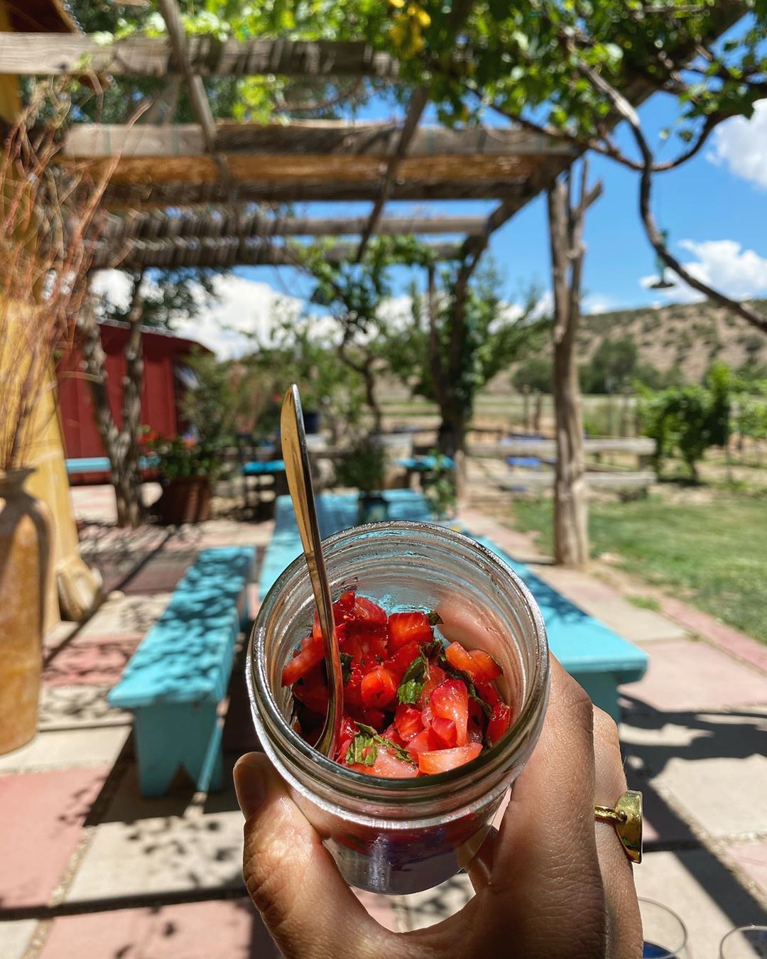 Maria Sharapova - Summer dreams in a jar☀️ Came for the wine, left with a very satisfied sweet tooth. 🍓🍇