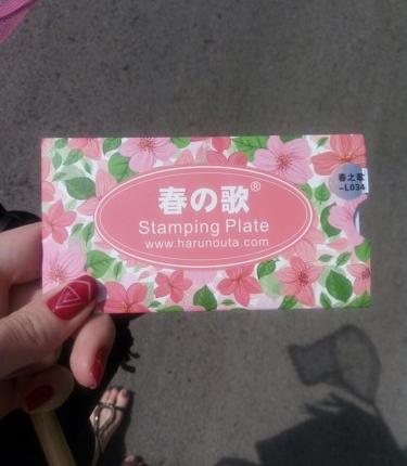 Пластина для стемпинга Harunouta Rectangle Stamping Plate Line Flower Pattern Nail Art Image L034 фото
