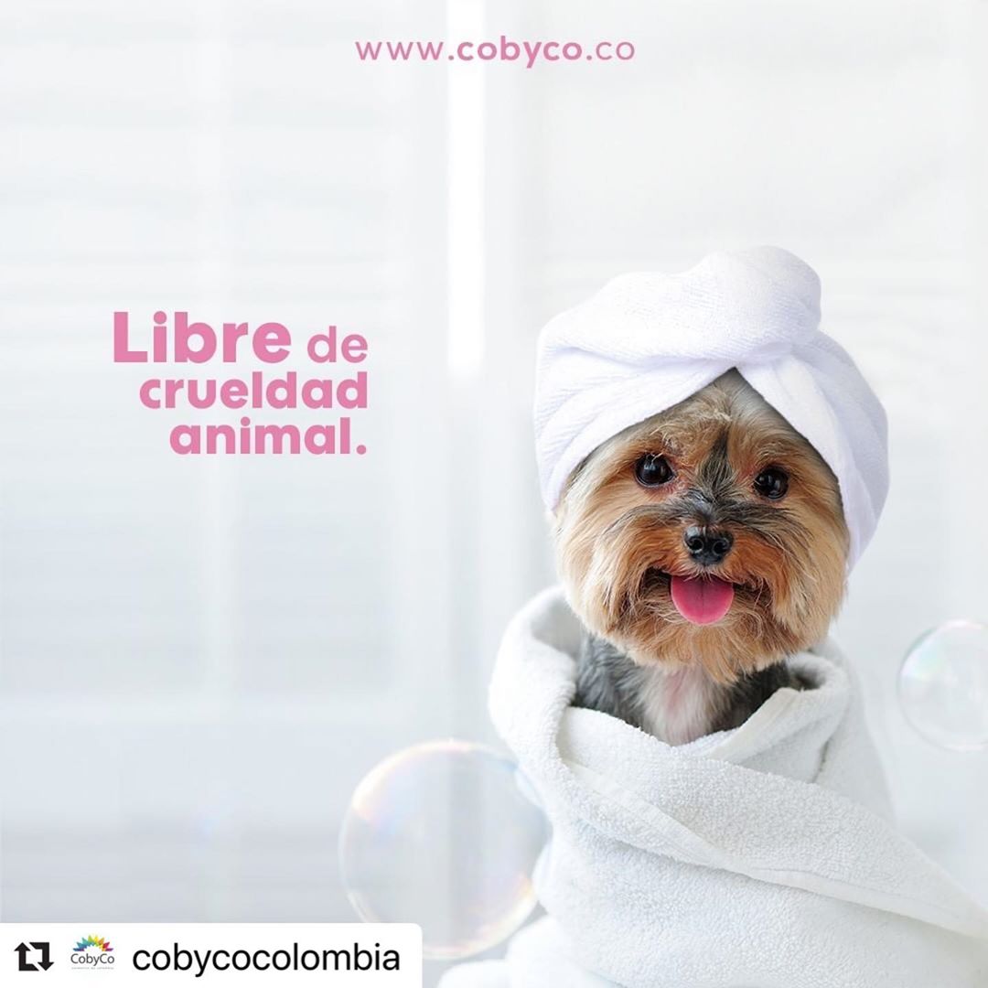 Cettua Colombia - #Repost @cobycocolombia with @make_repost
・・・
Así como cuidamos a nuestras mascotas podemos cuidar al resto de animales que no podemos tener en casa. ¿Cómo? Comprando productos que n...