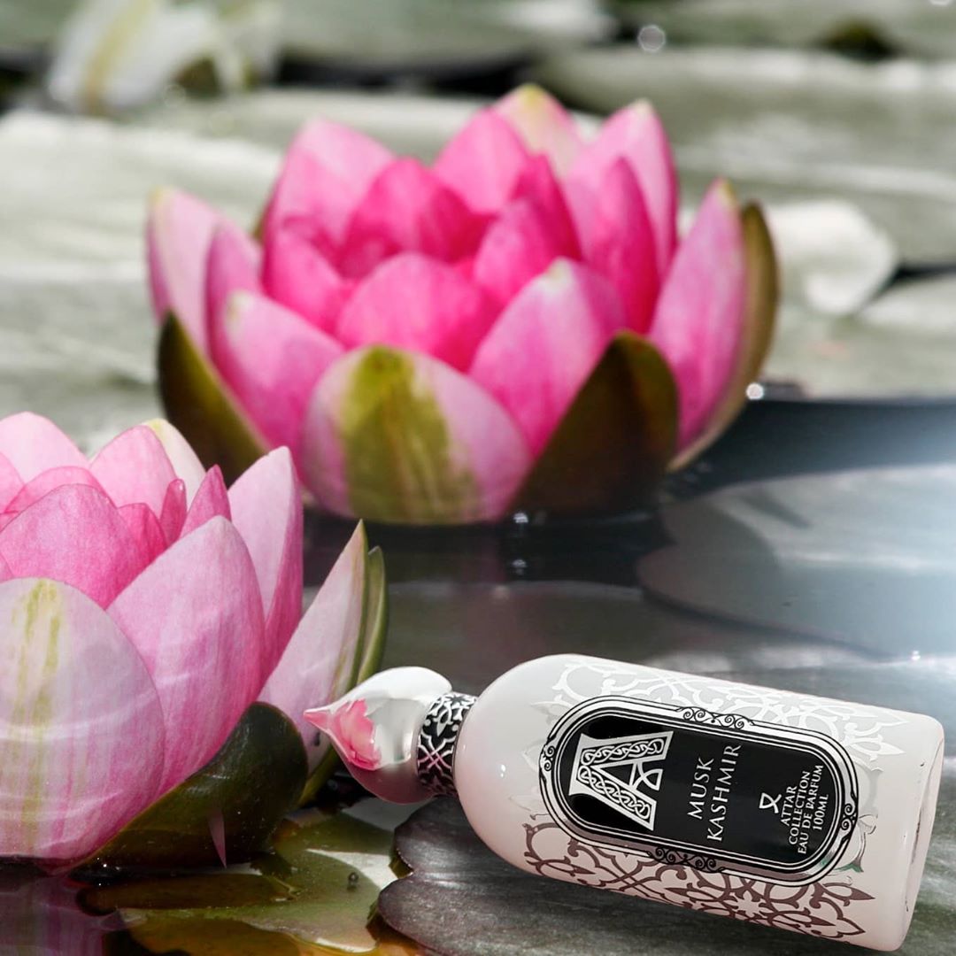 𝖠𝖳𝖳𝖠𝖱 𝖢𝖮𝖫𝖫𝖤𝖢𝖳𝖨𝖮𝖭 - Do you know that musk is one of the most popular scent in the world?☘💘
It is used to make perfume more long lasting and sensual!👌
Also musk is aphrodisiac! It relax and attract atte...