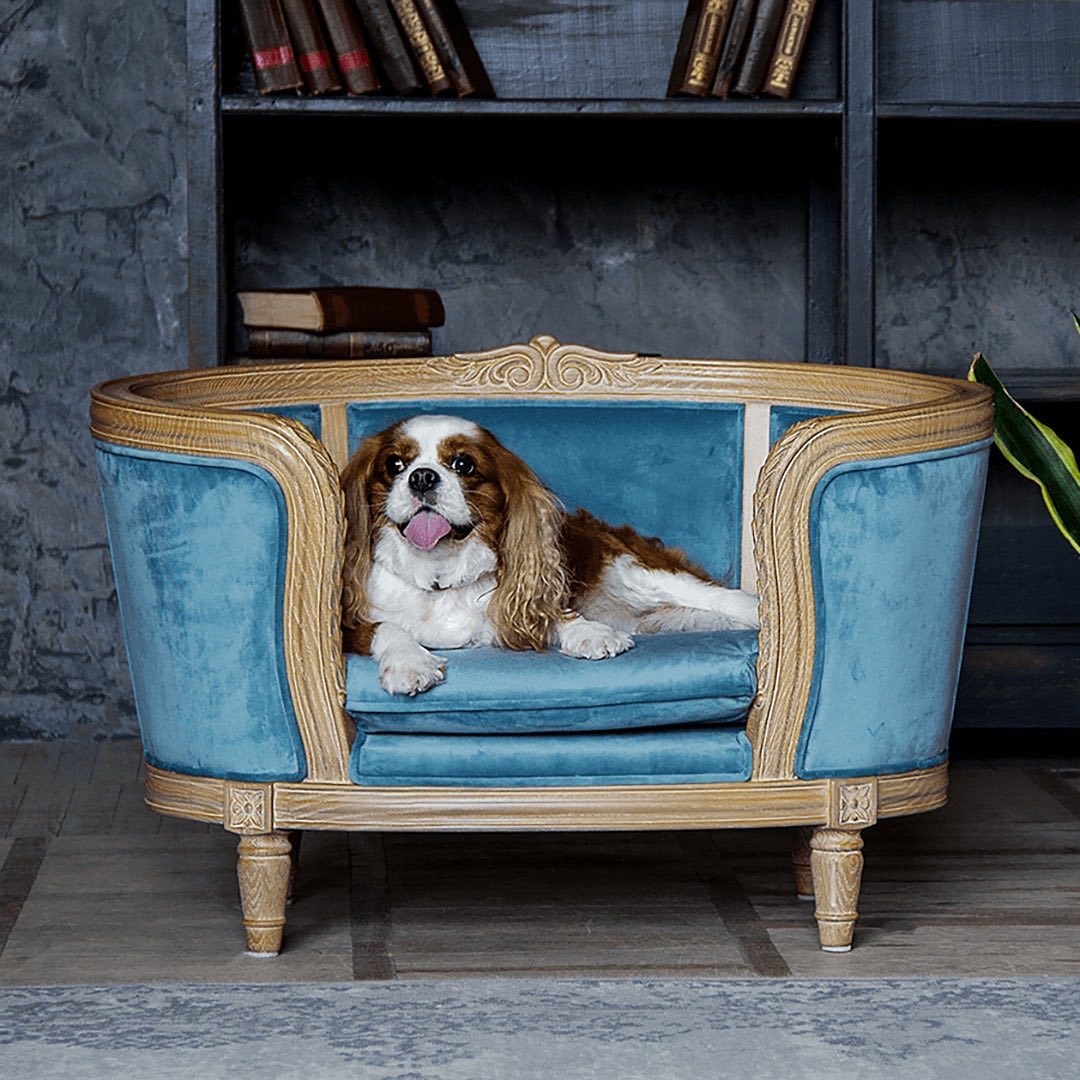 ebay.com - Treat your dog like royalty on #NationalDogDay with this regal bed.  How far will you go to pamper your pup? #ebayfinds #dogsofinstagram #🐶