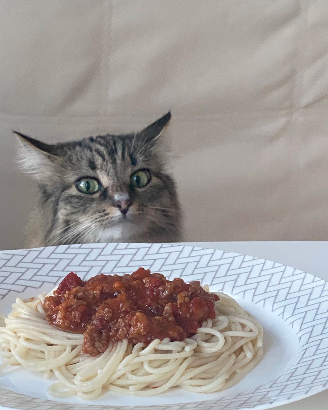 Диана Пожарская - bon appétit 🍝